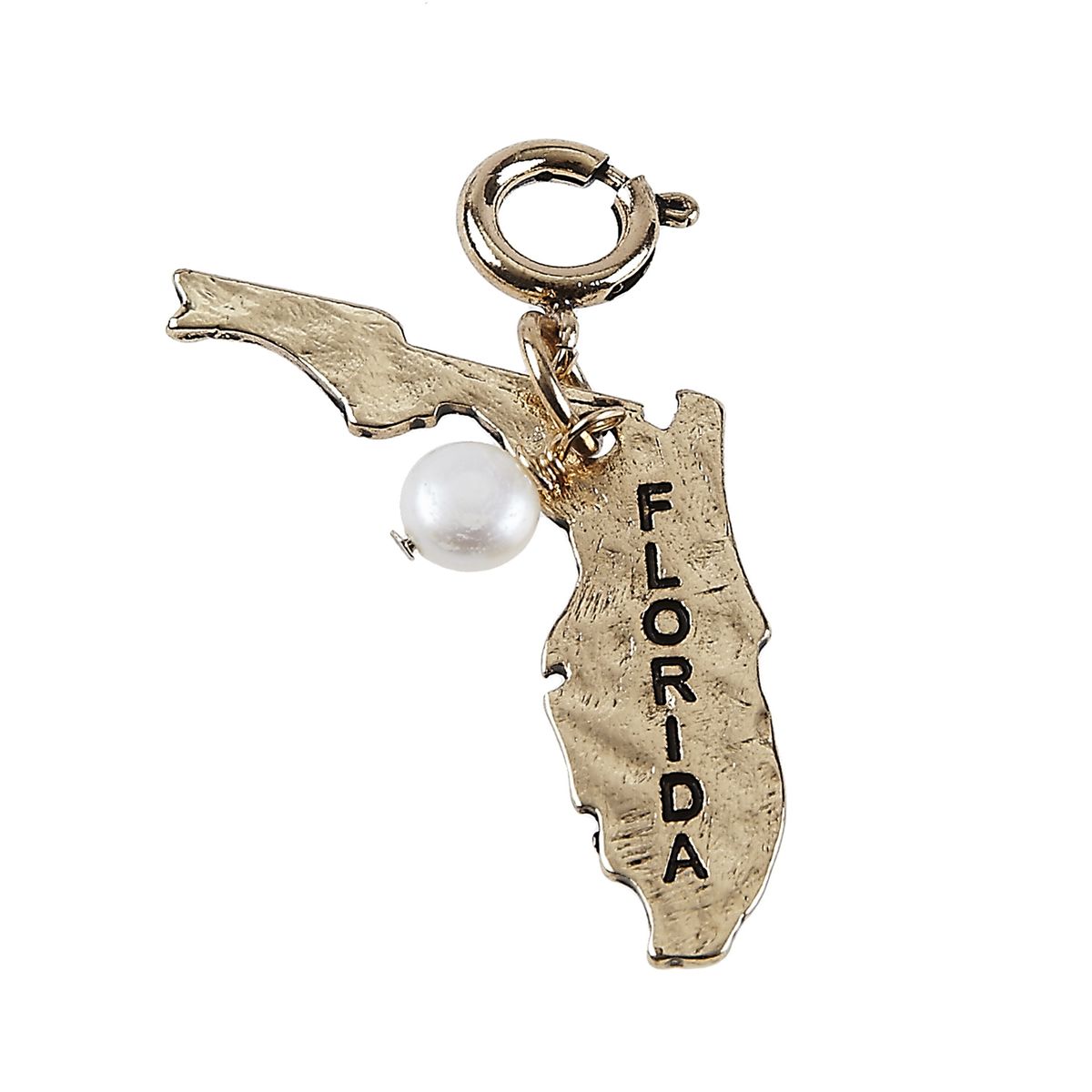 Antique Gold Hammered Florida State Charm