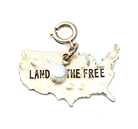 Antique Gold Hammered USA State Charm