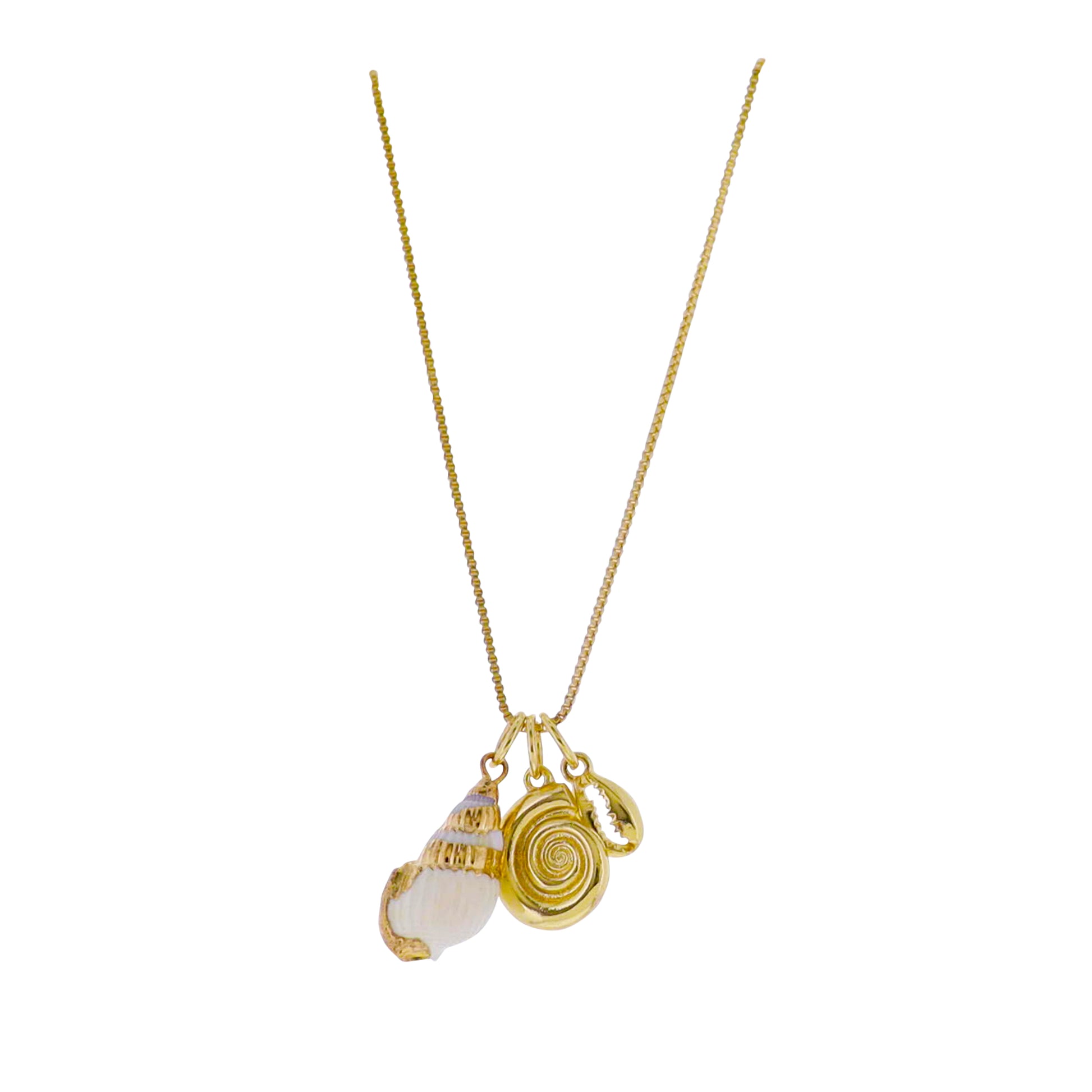 18k Gold Plated Box Chain Necklace with Shell, Conch, Shell