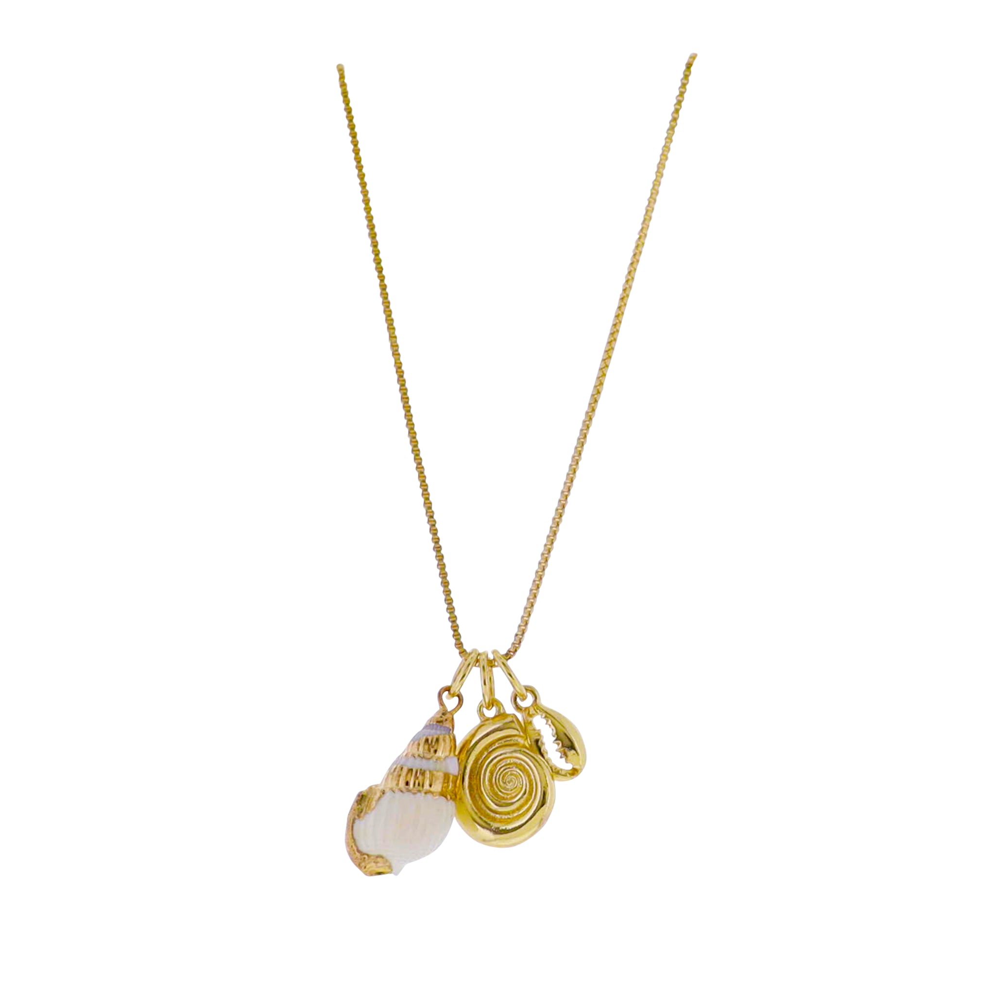 18k Gold Plated Box Chain Necklace with Shell, Conch, Shell