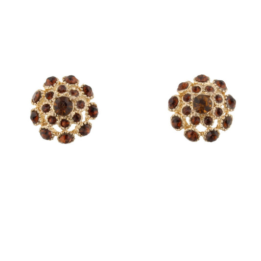Topaz Rhinestone Burst Stud Earring