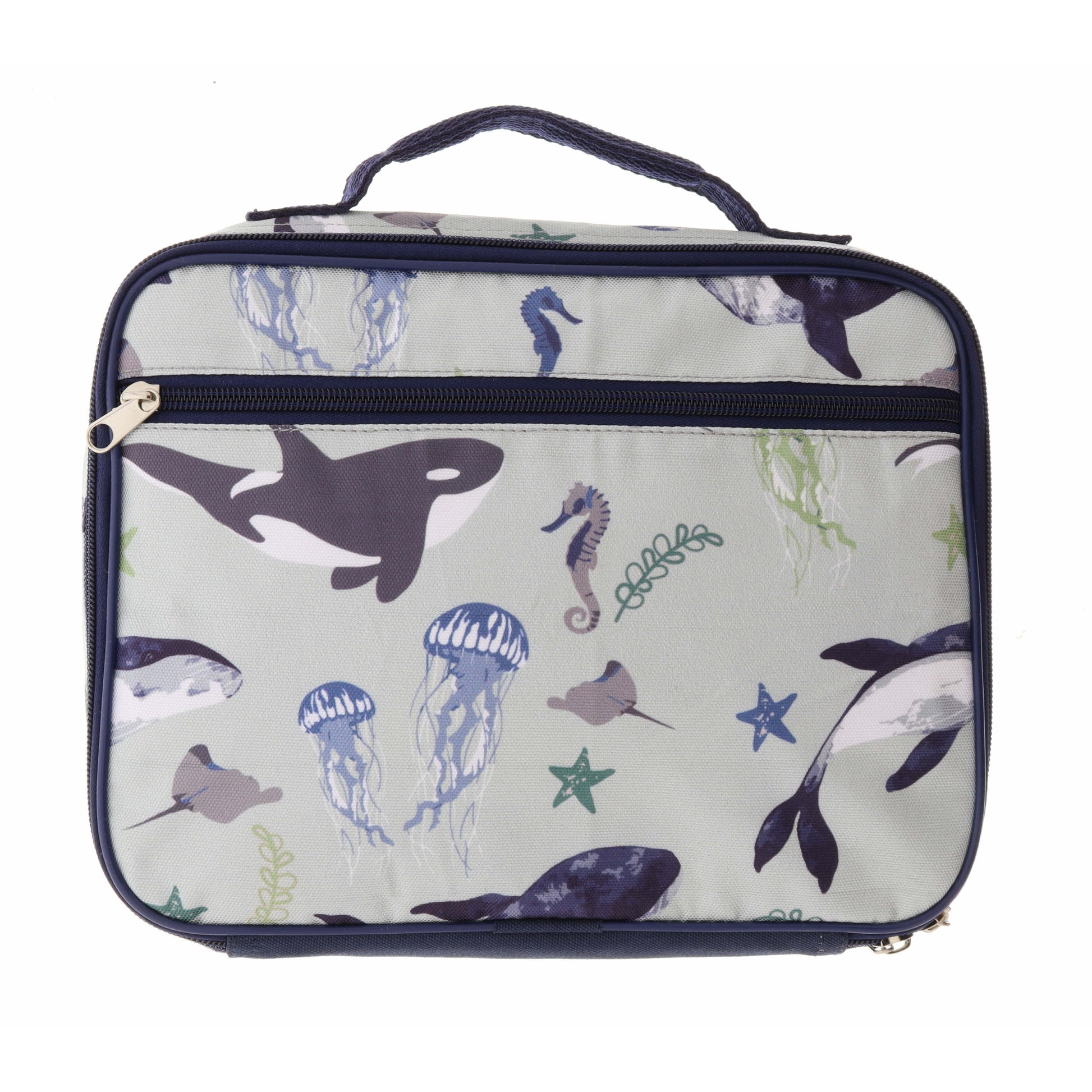 Kids Sea Life Lunch Box